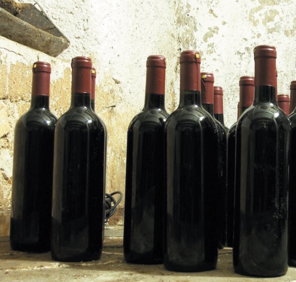 El MAPA publica los contratos de compraventa de uva y vino